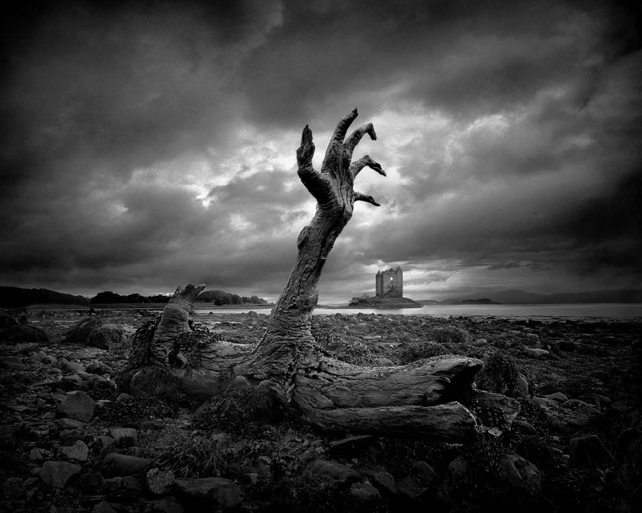 Black and white tree stump reaching to the sky like a hand